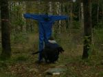 Torgny stöttar Scilla för att göra det mindre obehagligt.